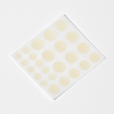 Acne Pimple Master Patch 24 Stickers