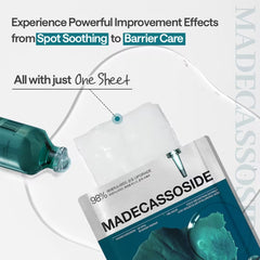 Madecassoside Essential Mask Blemish Repair 10 Sheets
