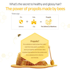 Hair Clinic Propolis Energy Plus Shampoo 1L