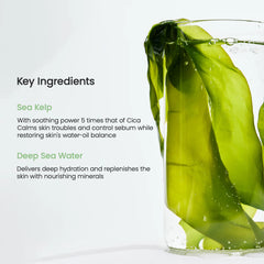 Refreshing Sea Kelp Real Deep Mask 4 Pack