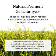 Galactomyces Ferment Essence 100ml