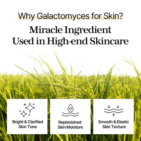 Galactomyces 爽肤棉 280ml