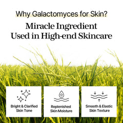 Galactomyces Toner Pad 280ml