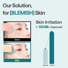 Madecassoside Essential Mask Blemish Repair 10 Sheets