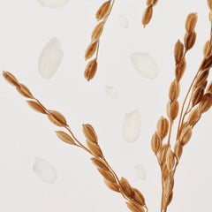 Glow Replenishing Rice Milk 150ml