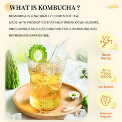 Complete Flavor Bundle Kombucha Tea Powdered Beverage Mix