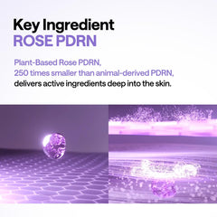 PDRN Lifting Pad 100 Pads