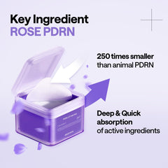 PDRN Lifting Pad 100 Pads