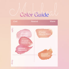 Tinted Sheer Stick Blusher 6g