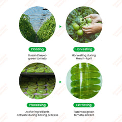 Green Tomato Pore Lifting Ampoule Trio