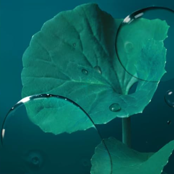 Madecassoside Blemish Pad 100 Pads