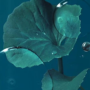 Madecassoside Essential Mask Blemish Repair 10 Sheets