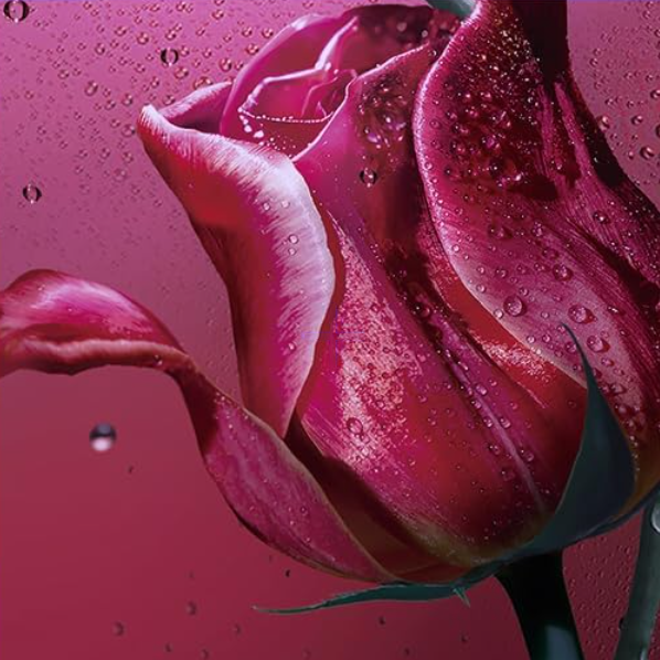 PDRN Lifting Pad 100 Pads