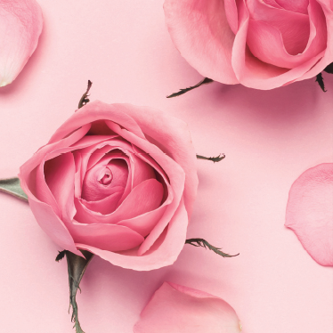 Mascarilla de suero Rose Tranex (10 hojas)